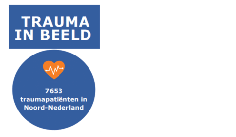 Nieuwsbericht: Trauma in beeld