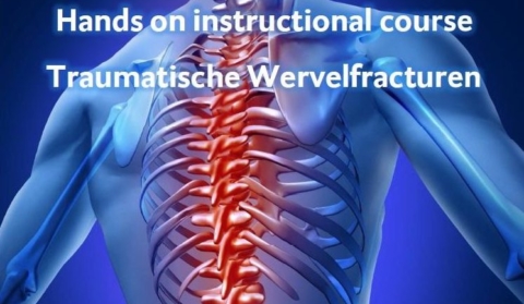 Nieuwsbericht: Traumatische wervelfracturen: Hands on instructional course